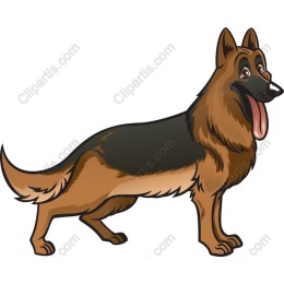 German Shepherd