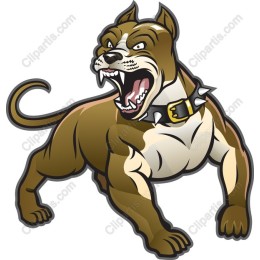 Fierce Pit Bull
