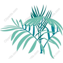 Tropical Palm Leaves