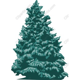 Evergreen Tree