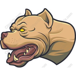 Fierce Pitbull Head