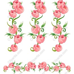 Pink Peony Collection