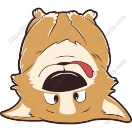 Upside-Down Corgi
