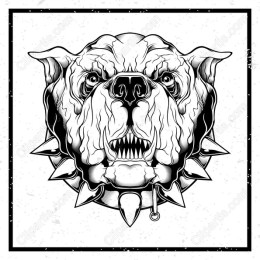 Fierce Pit Bull Head