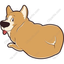 Charming Corgi