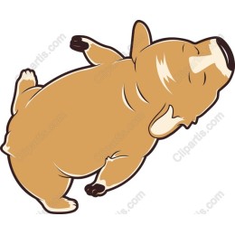 Adorable Sleeping Dog