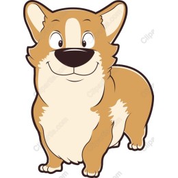 Corgi Delight