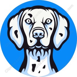 Charming Dog