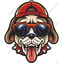 Cool Dog - Stylish Sunglasses and Cap