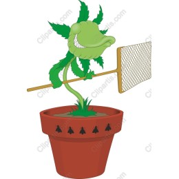 Cheeky Green Plant with Net - Whimsical