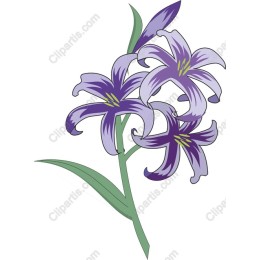 Elegant Purple Lily Floral