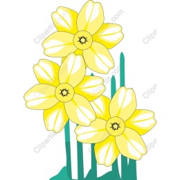 Vibrant Yellow Daffodil