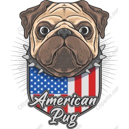 American Pug