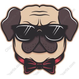 Stylish Pug