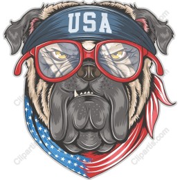 Patriotic Bulldog