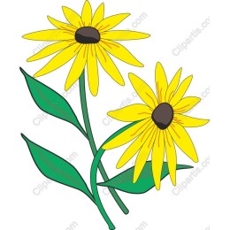 Radiant Yellow Sunflower