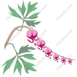Elegant Pink Flower Vine