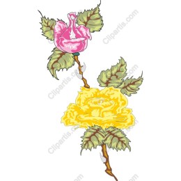 Floral Elegance: Pink and Yellow Roses