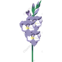 Purple Orchid