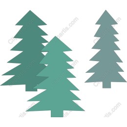 Evergreen Trees