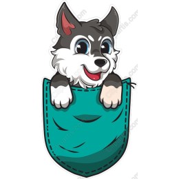 Cute Dog Peeking from Turquoise Pocket