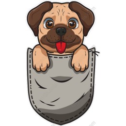 Pug in Pocket
