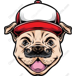 Adorable Dog with Cap