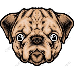 Charming Pug