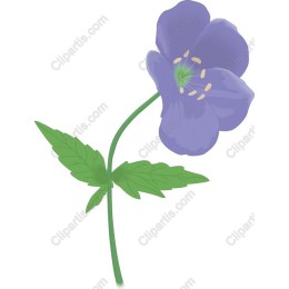 Delicate Purple Flower
