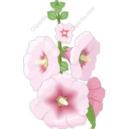 Elegant Pink Hollyhocks