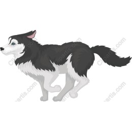 Energetic Husky Dog