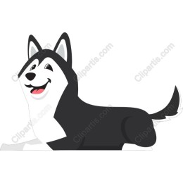 Playful Dog