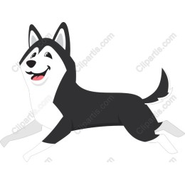 Playful Black and White Dog