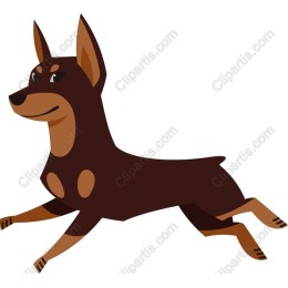 Energetic Dog
