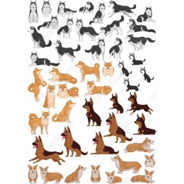 Premium Dog Collection - Bundle