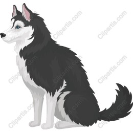 Siberian Husky