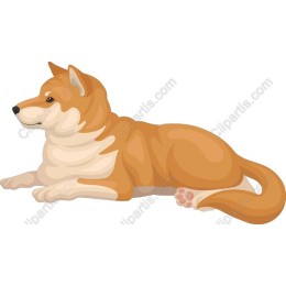 Charming Relaxed Dog