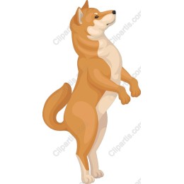 Shiba Inu Playful Standing