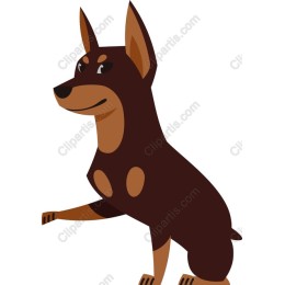 Charming Dog