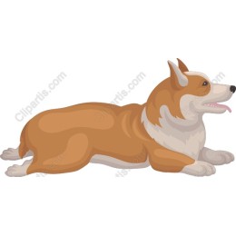 Charming Corgi