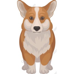 Charming Corgi