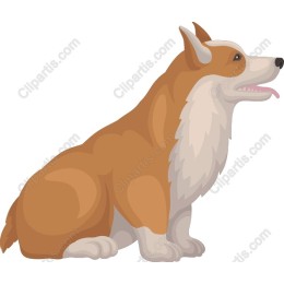 Corgi
