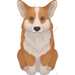 Charming Corgi