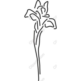 Elegant Minimalist Flower Line Art