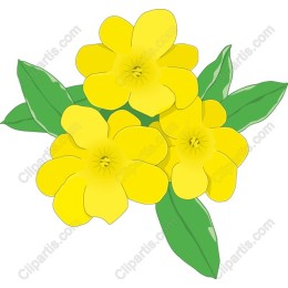 Vibrant Yellow Flower