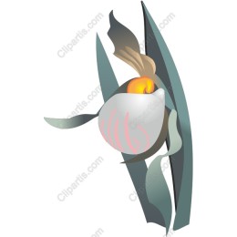 Elegant Flower