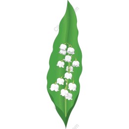 Lilies of the Valley