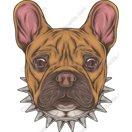French Bulldog with Spiked Collar