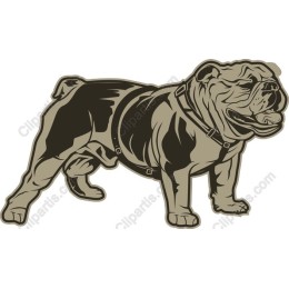 Bulldog