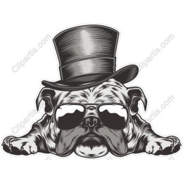 Hip Pug Dog with Top Hat and Sunglasses